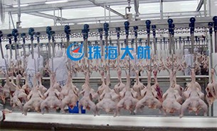 重量分揀設備如何實現整雞分選？